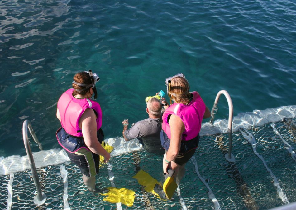 Person with a disability diving