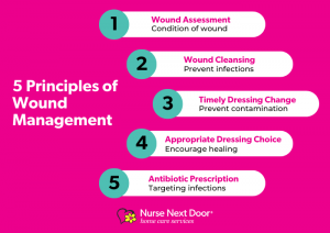 The Principles Of Wound Management Nurse Next Door